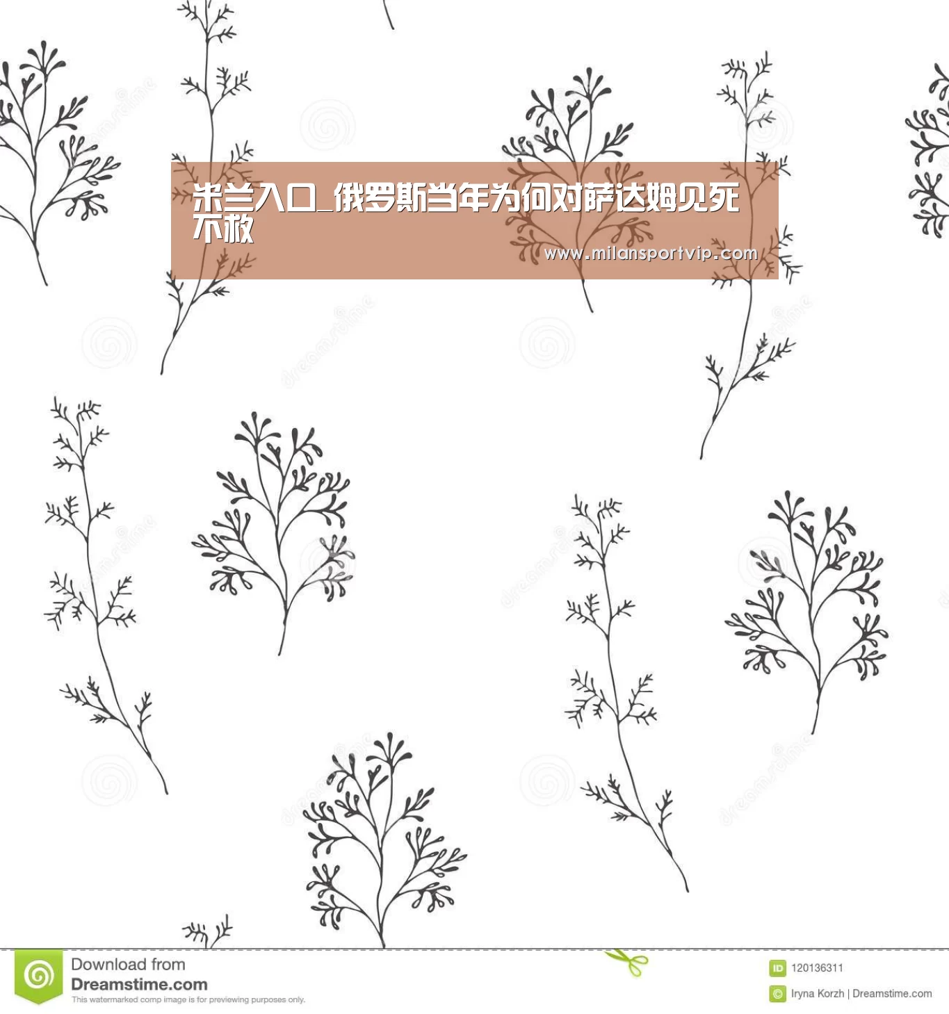 米兰入口_俄罗斯当年为何对萨达姆见死不救(图3) 米兰平台