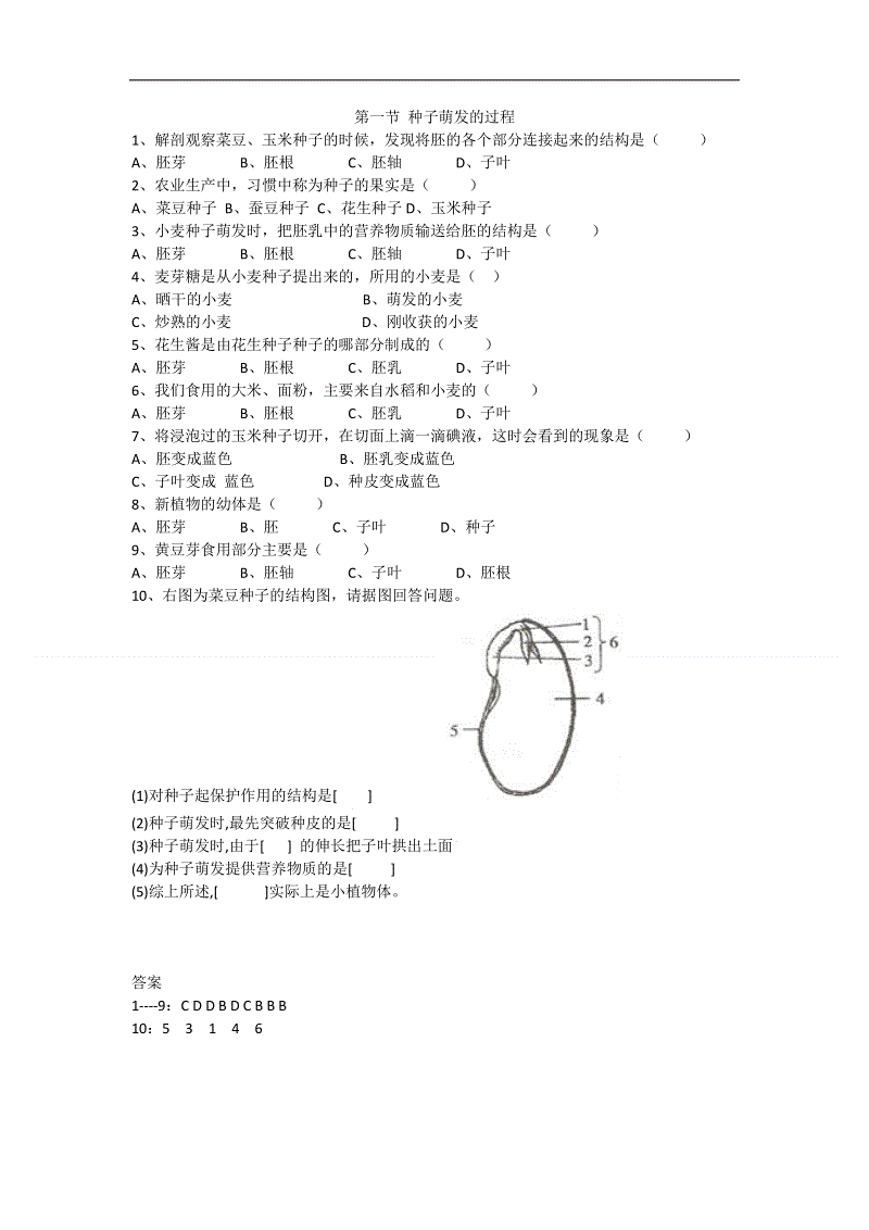 米兰入口_俄罗斯当年为何对萨达姆见死不救(图4) 米兰官网