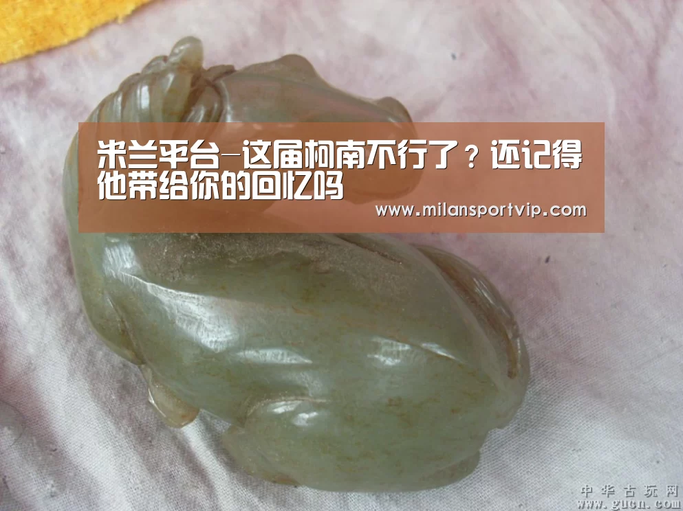 米兰平台