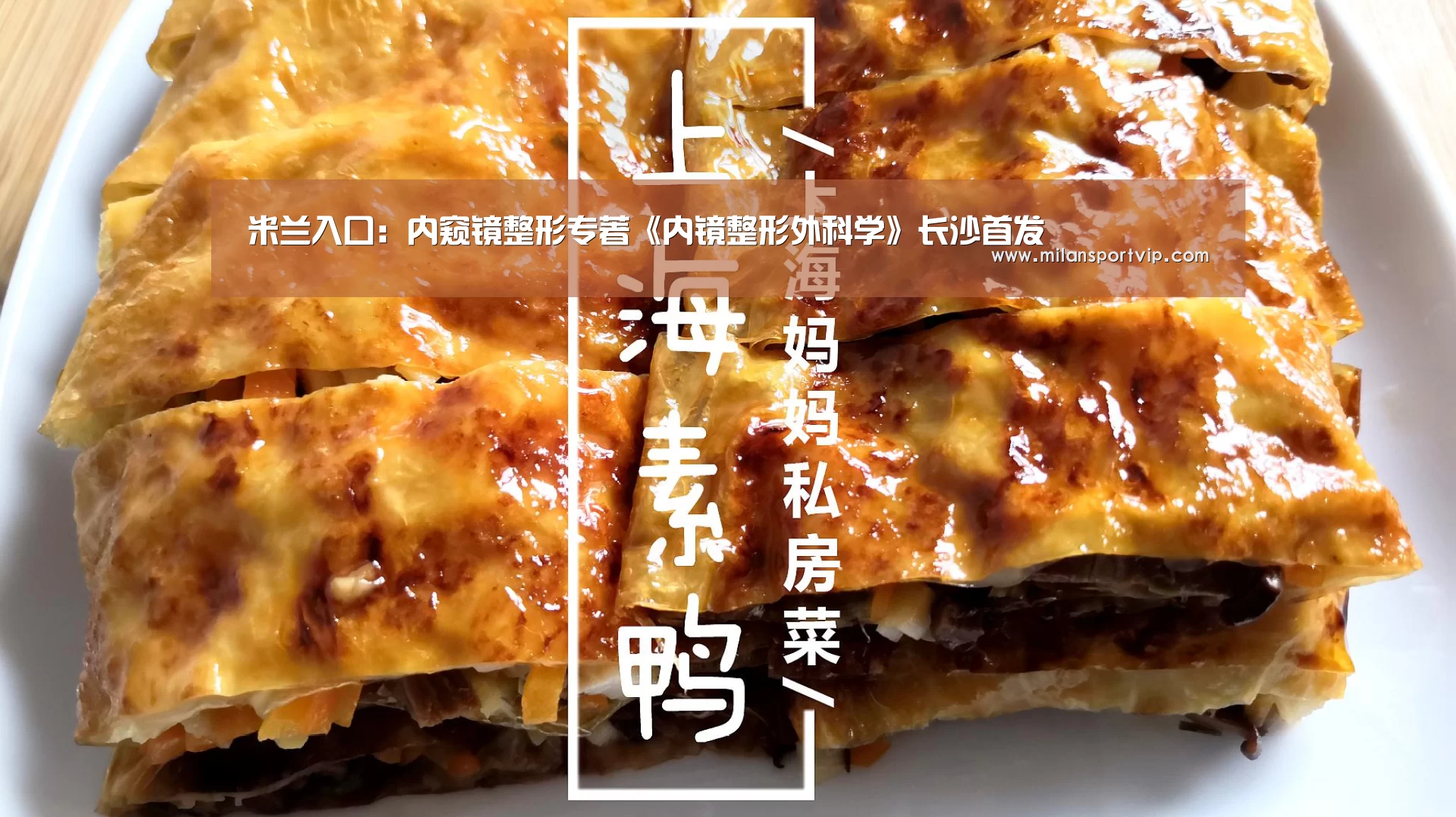 米兰入口:内窥镜整形专著《内镜整形外科学》长沙首发(图1) 米兰入口
